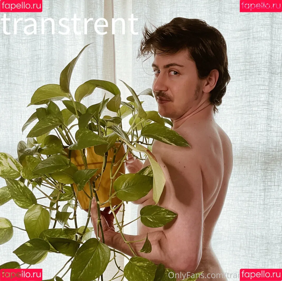 transtrentfree Onlyfans Photo Gallery 