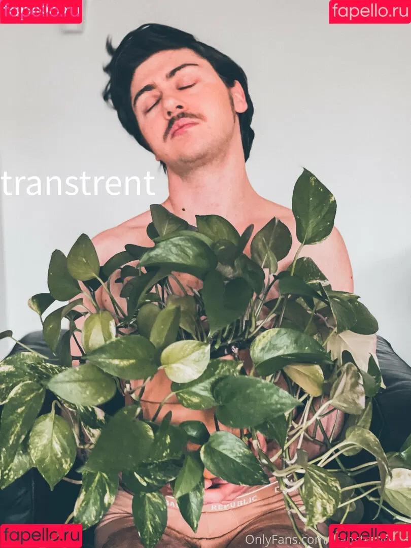 transtrentfree Onlyfans Photo Gallery 