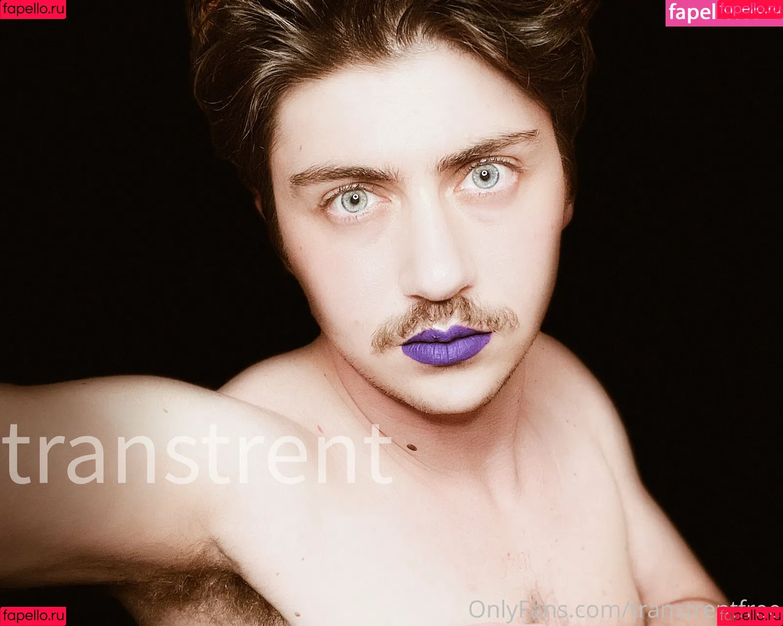 transtrentfree Onlyfans Photo Gallery 