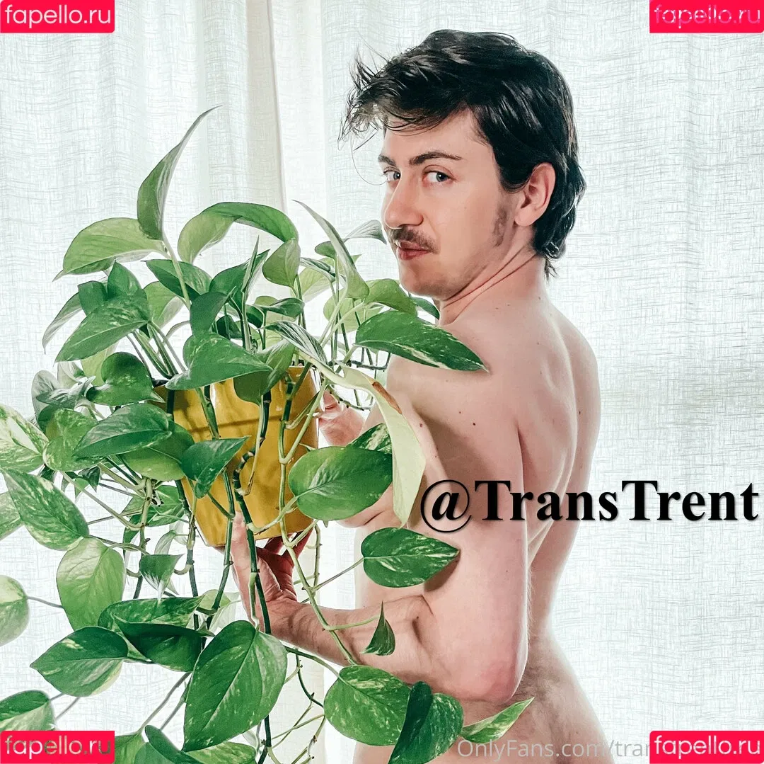 transtrentfree Onlyfans Photo Gallery 