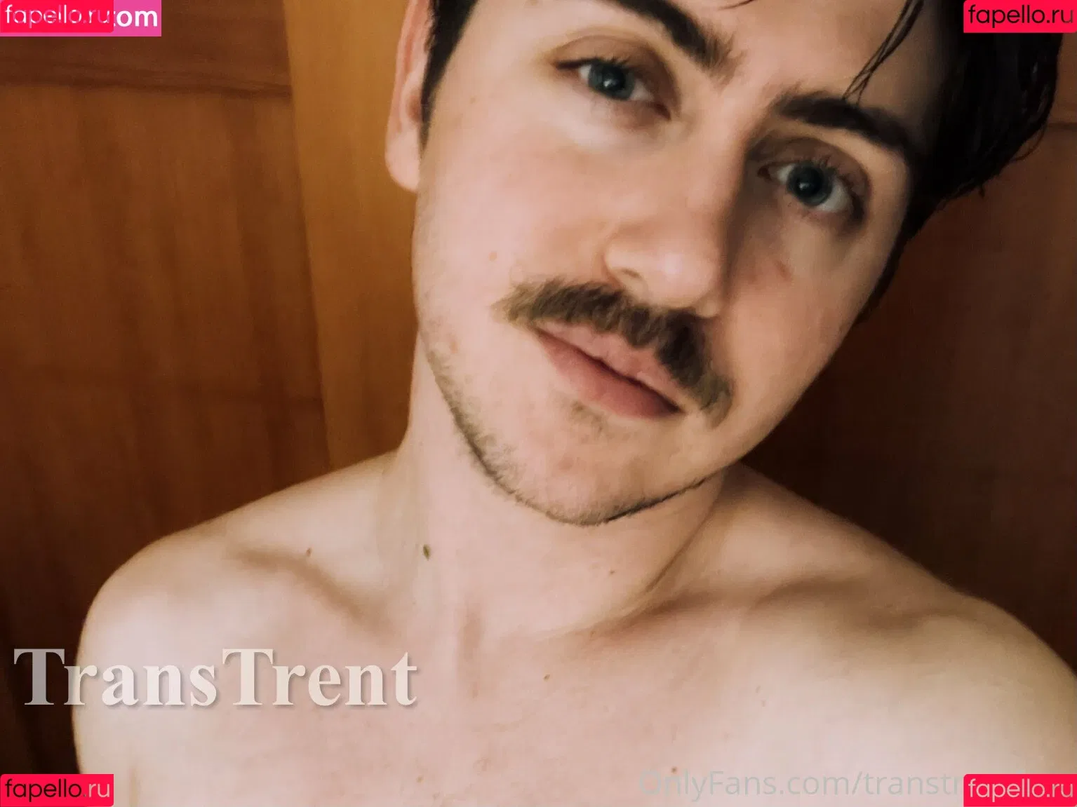 transtrentfree Onlyfans Photo Gallery 