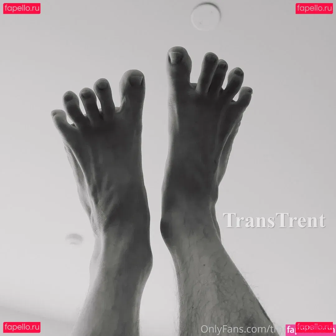 transtrentfree Onlyfans Photo Gallery 