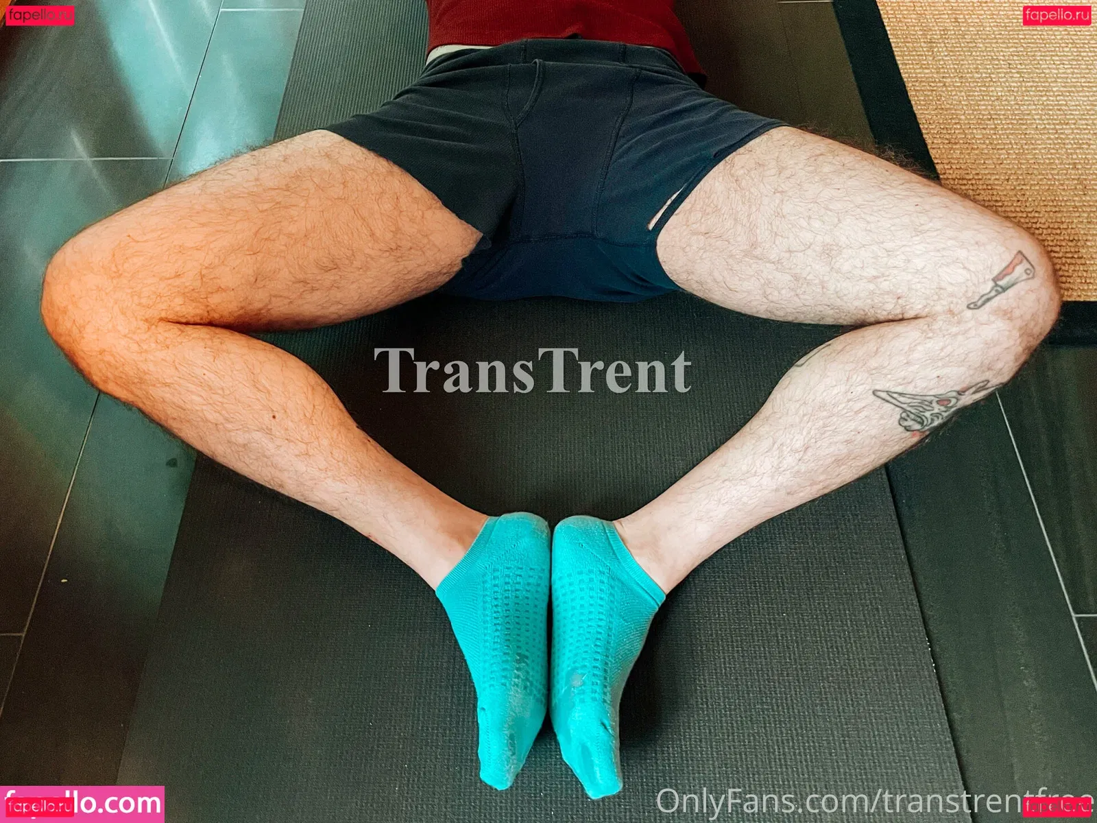 transtrentfree Onlyfans Photo Gallery 