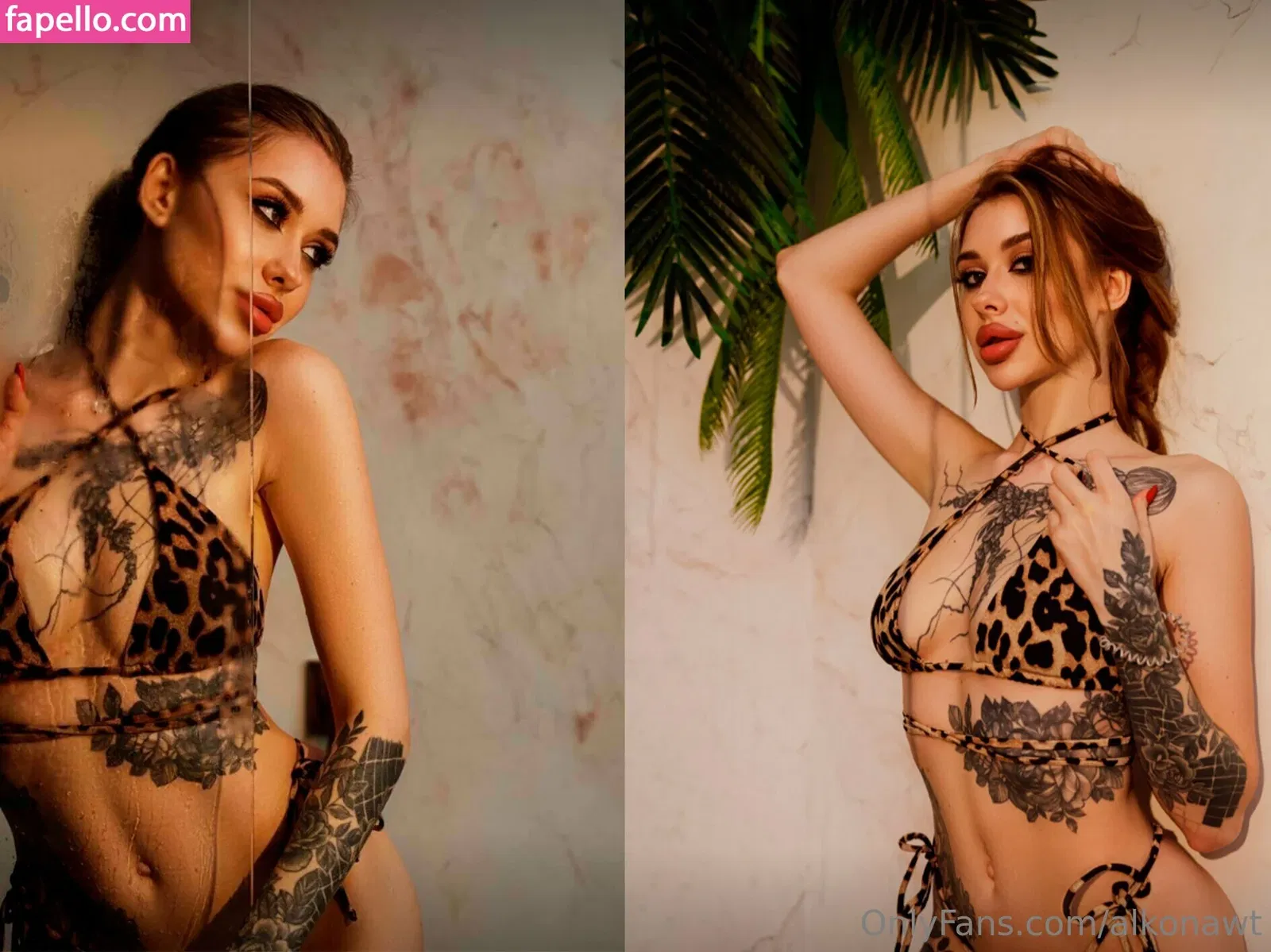 Alkonawt Onlyfans Photo Gallery 