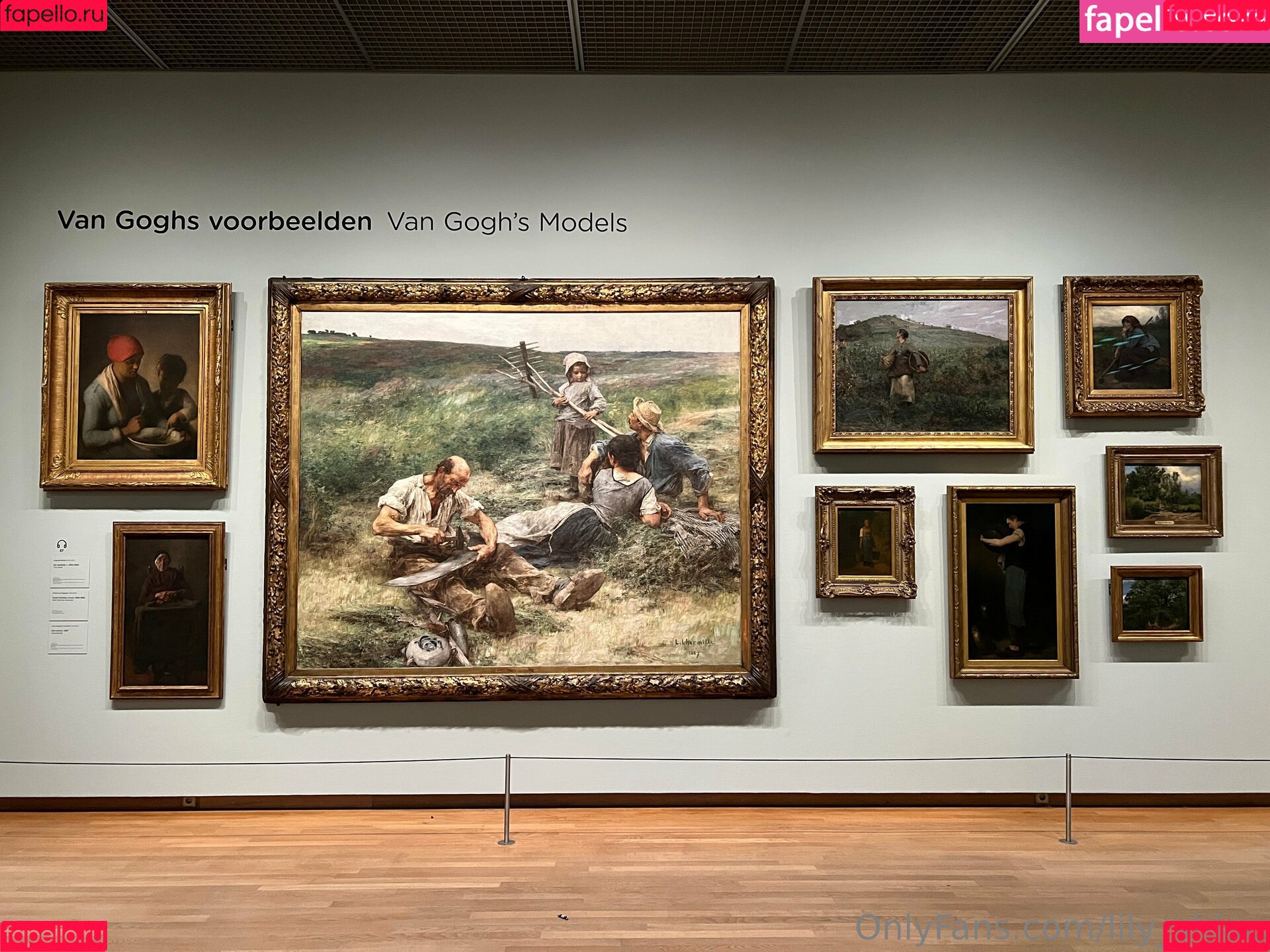 lily_shine Onlyfans Photo Gallery 