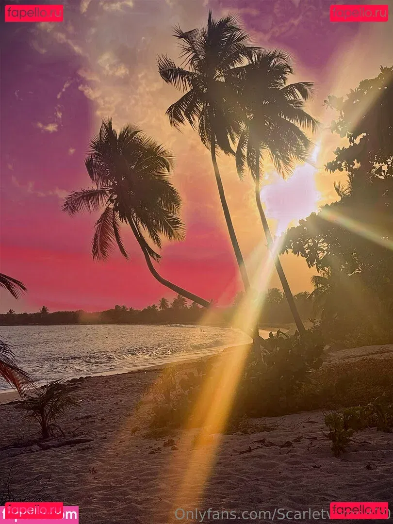 Scarletvixen420 Onlyfans Photo Gallery 