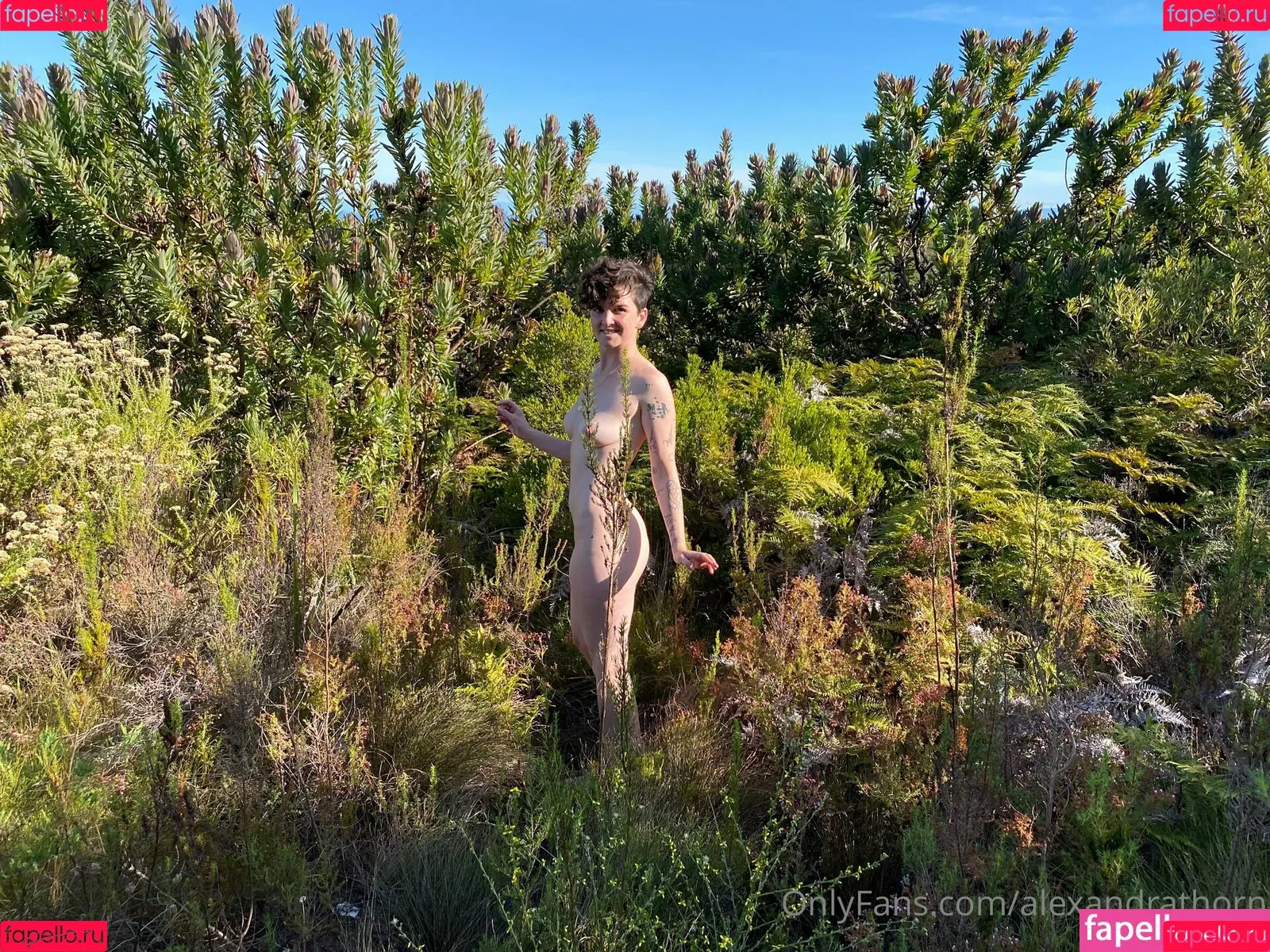 alexandrathorn Onlyfans Photo Gallery 