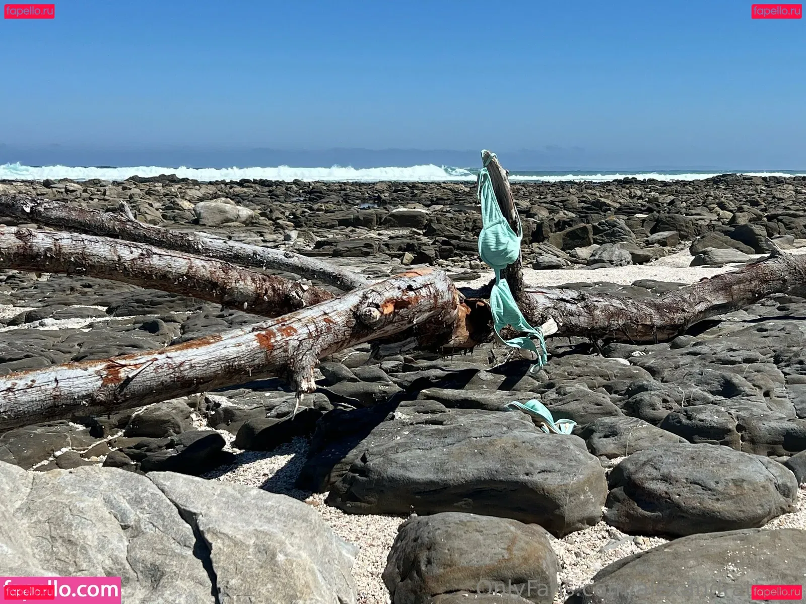 alexandrathorn Onlyfans Photo Gallery 