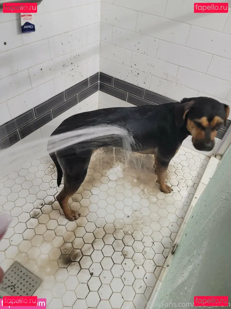 kodi_salem Onlyfans Photo Gallery 