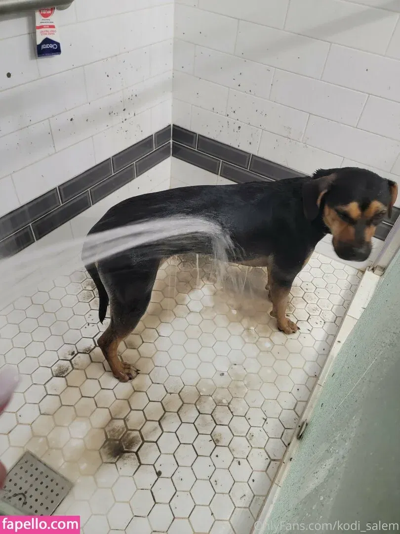 kodi_salem Onlyfans Photo Gallery 