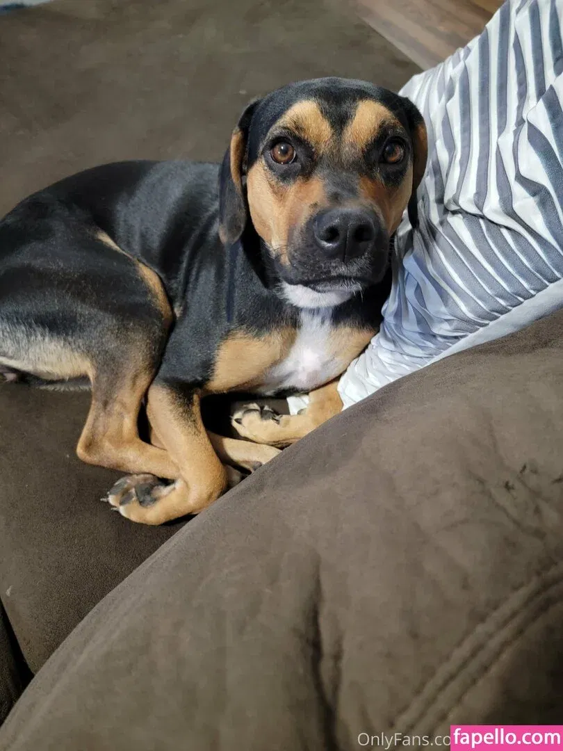 kodi_salem Onlyfans Photo Gallery 