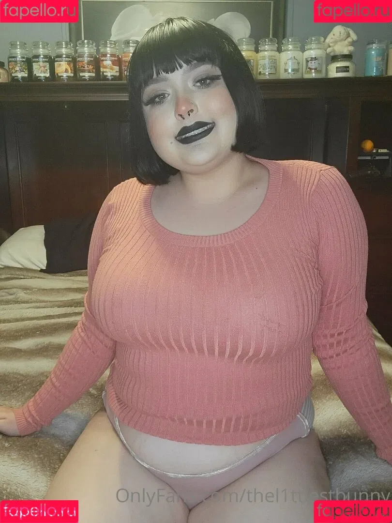 thel1ttlestbunny Onlyfans Photo Gallery 