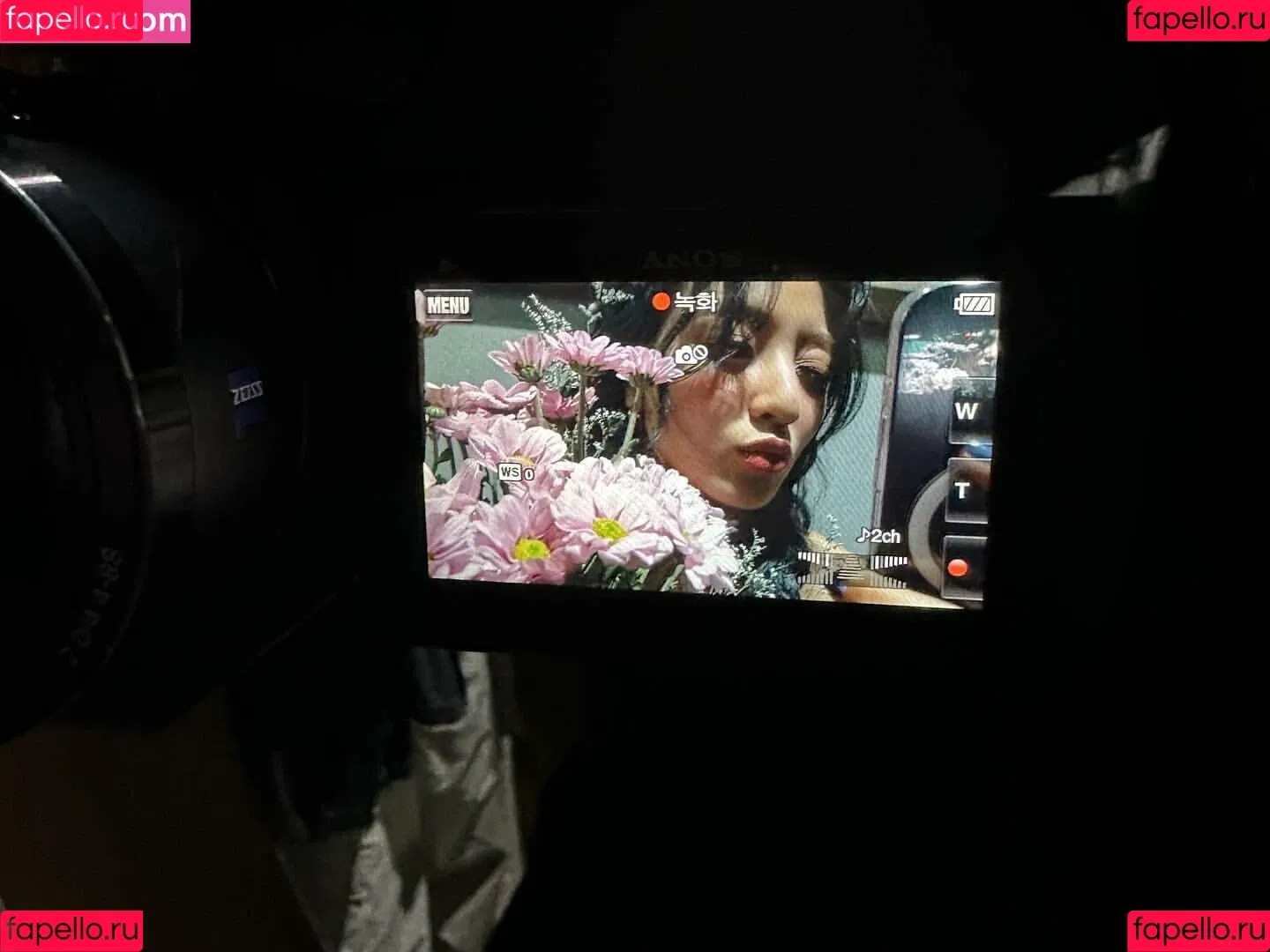 Jihyo Onlyfans Photo Gallery 