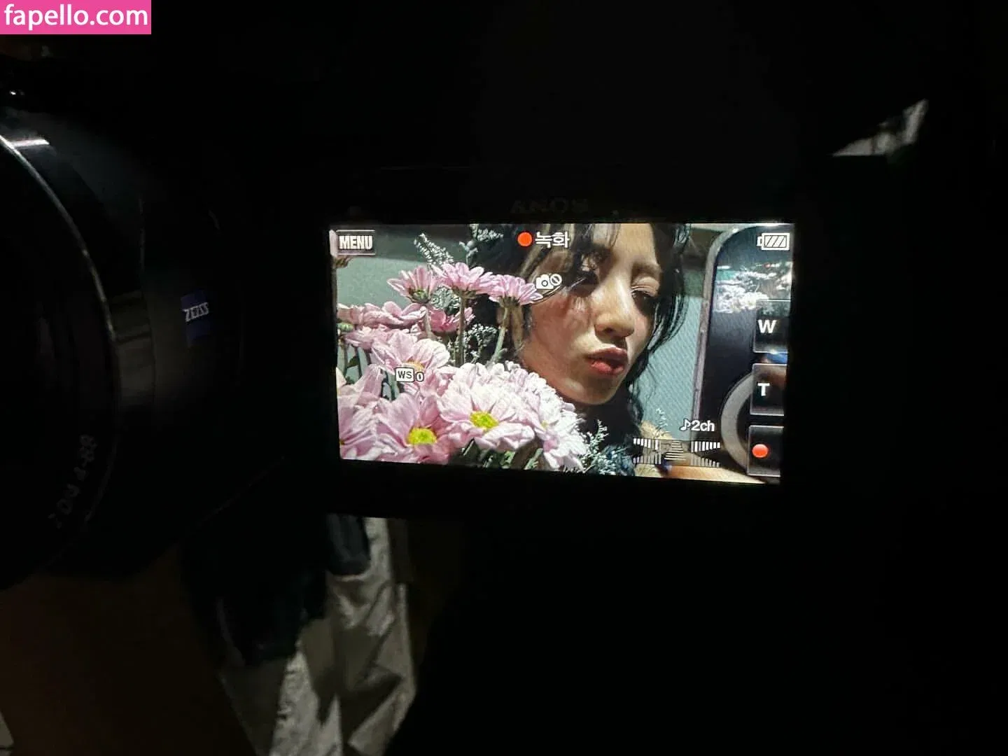 Jihyo Onlyfans Photo Gallery 