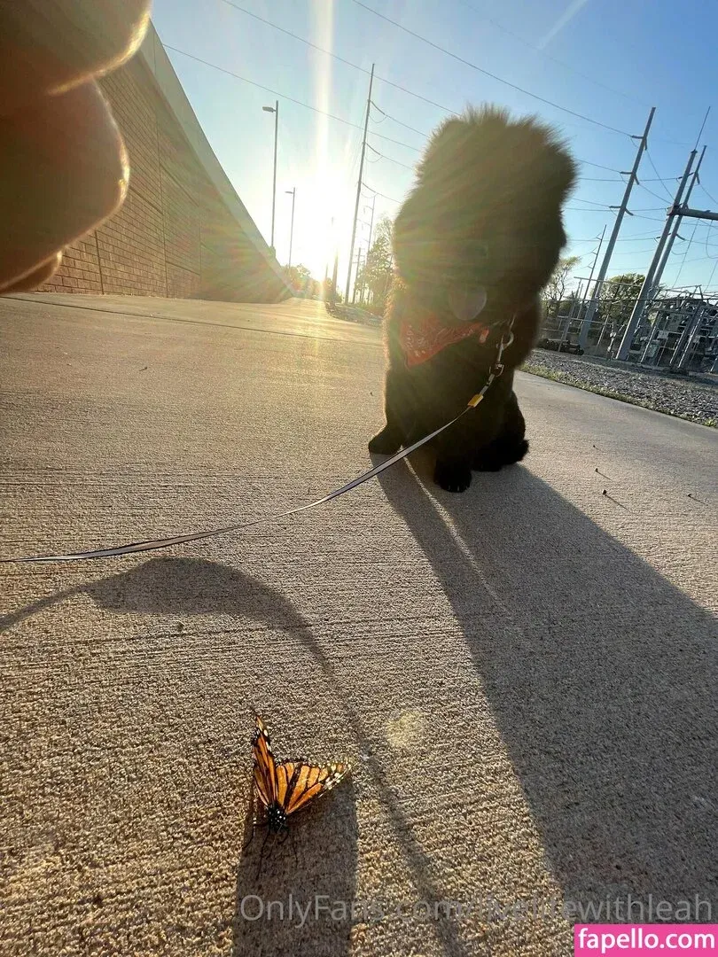 leahsade Onlyfans Photo Gallery 