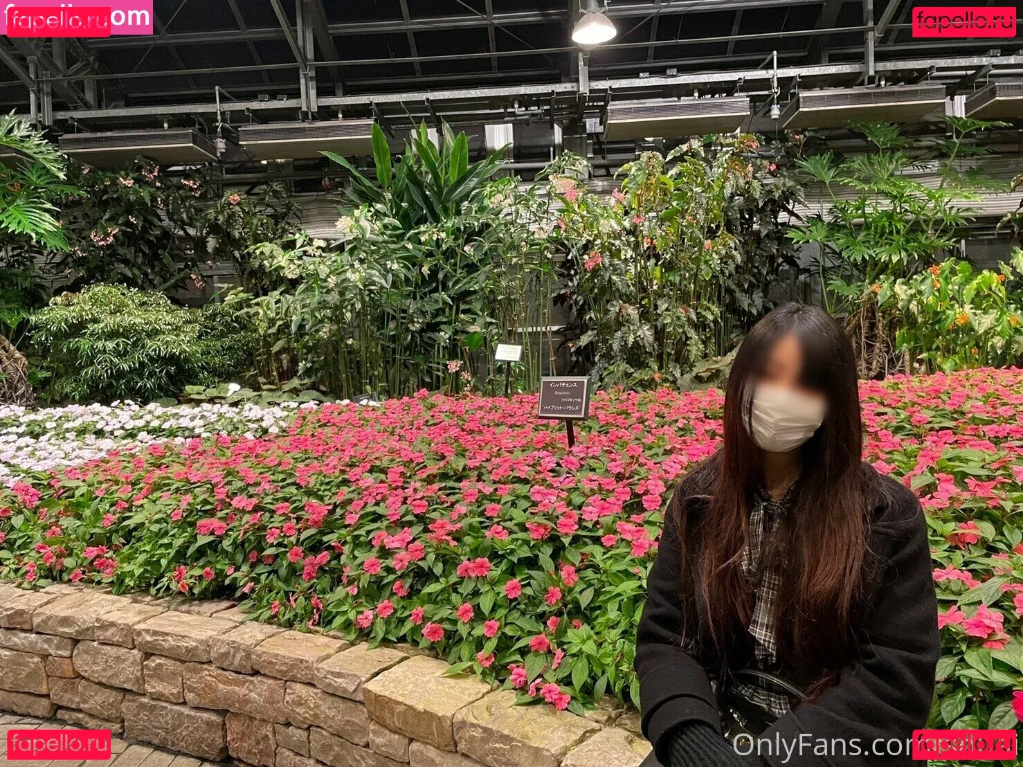 souai Onlyfans Photo Gallery 