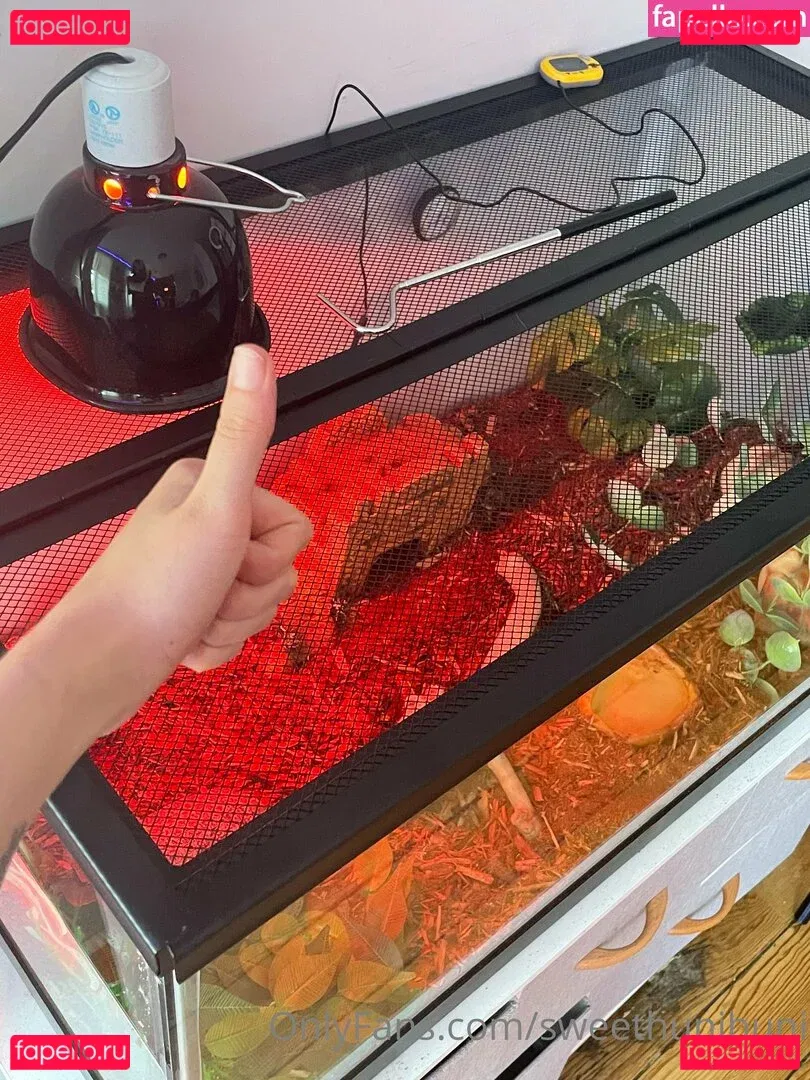 x_cherrybxmb_x Onlyfans Photo Gallery 