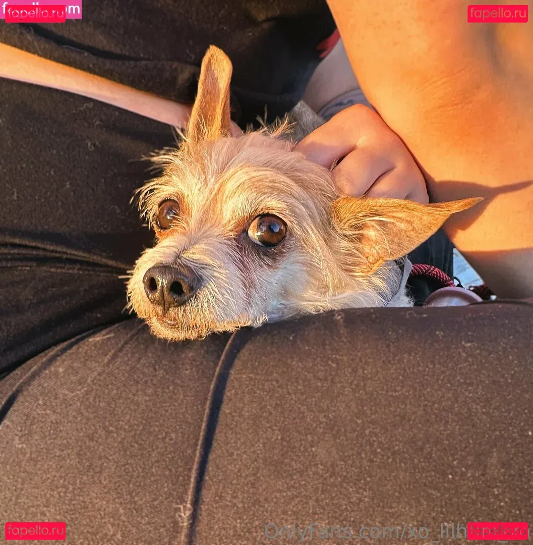 x_cherrybxmb_x Onlyfans Photo Gallery 