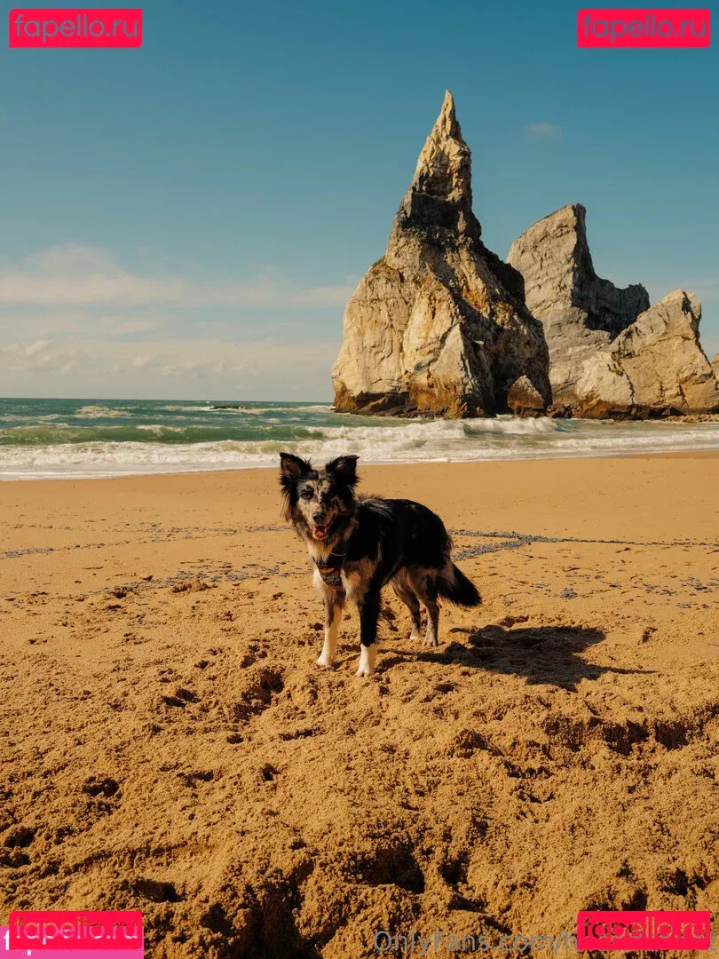 Hheadshhot Onlyfans Photo Gallery 