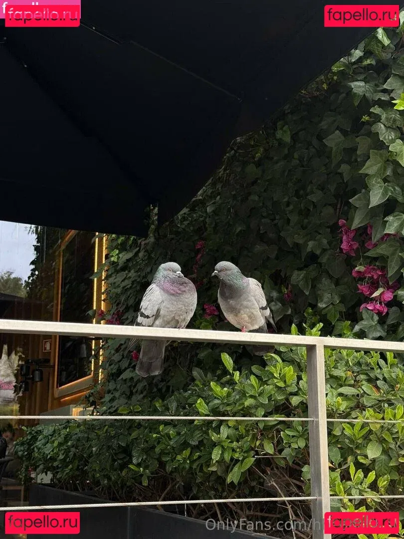 Hheadshhot Onlyfans Photo Gallery 