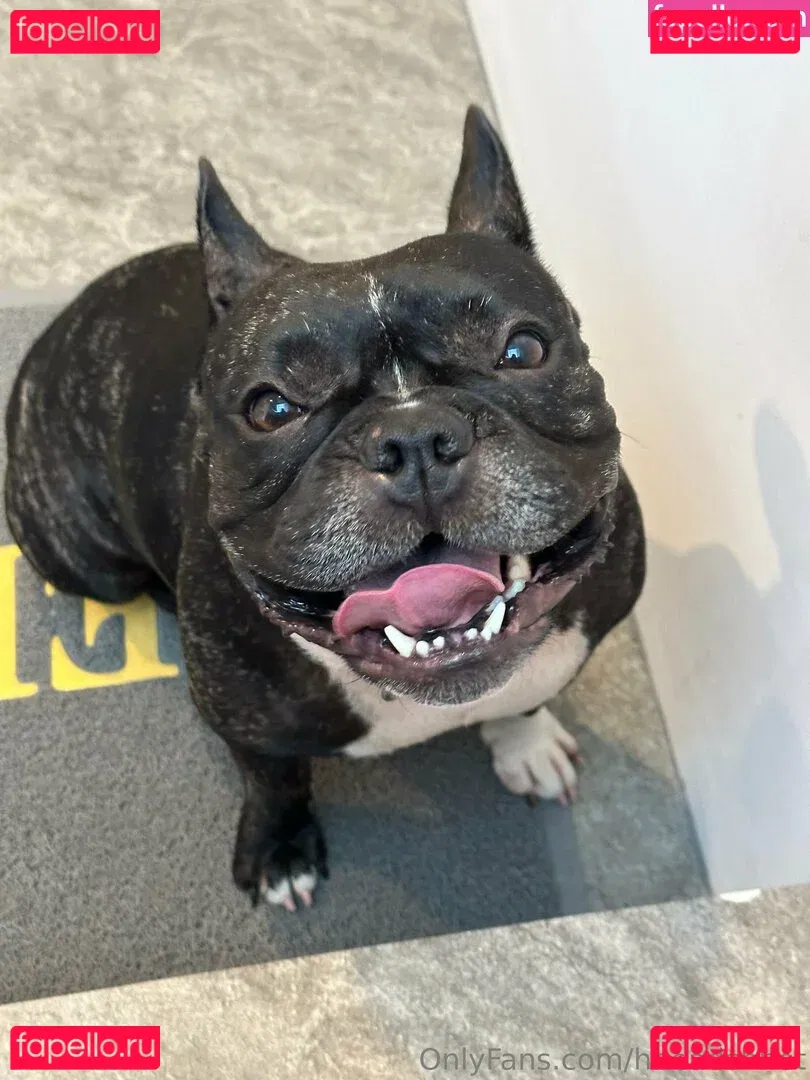 Hheadshhot Onlyfans Photo Gallery 