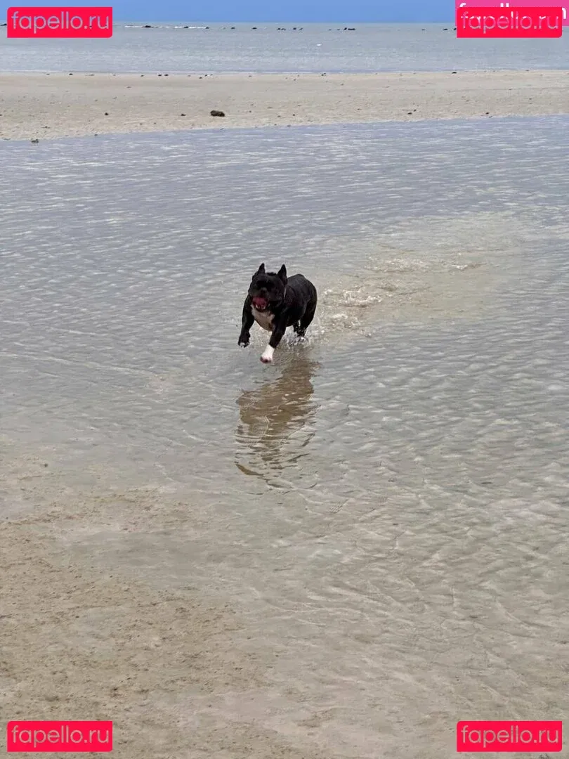 Hheadshhot Onlyfans Photo Gallery 