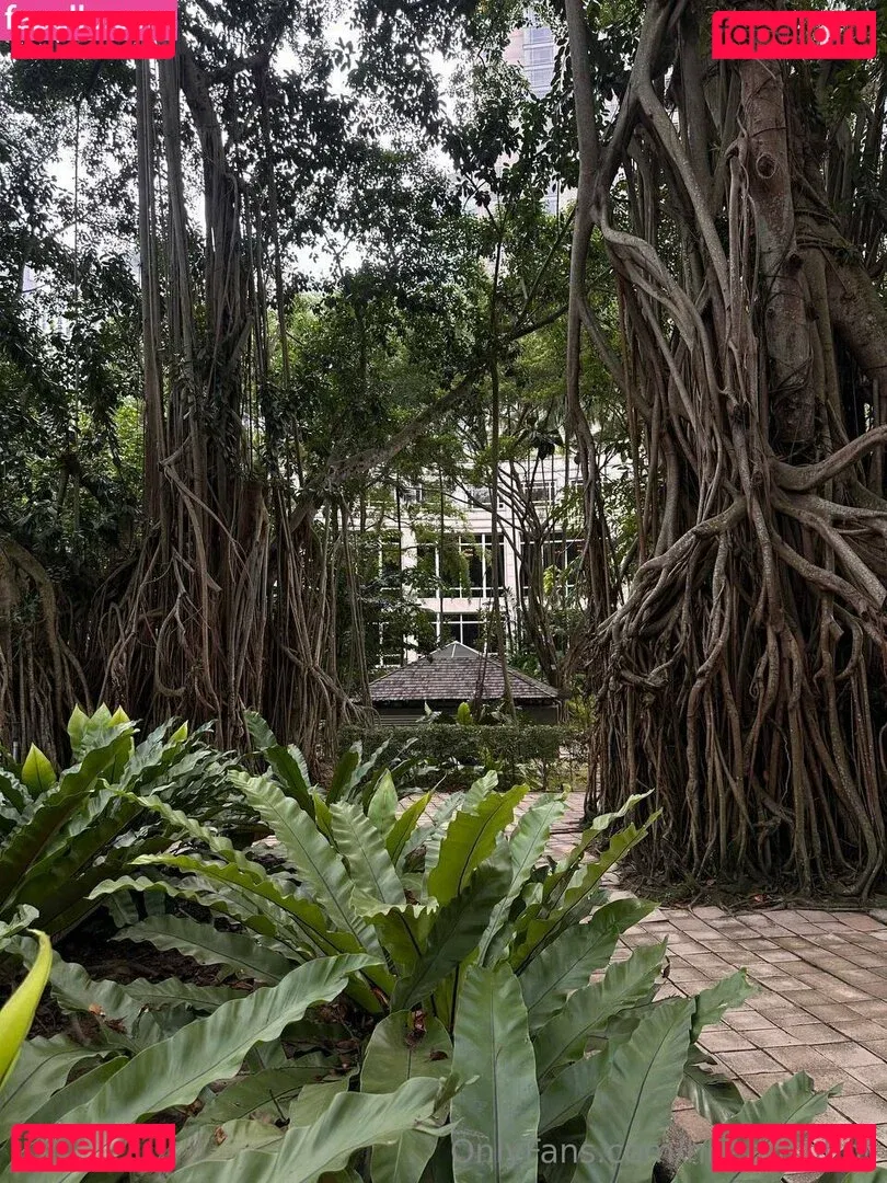 Hheadshhot Onlyfans Photo Gallery 