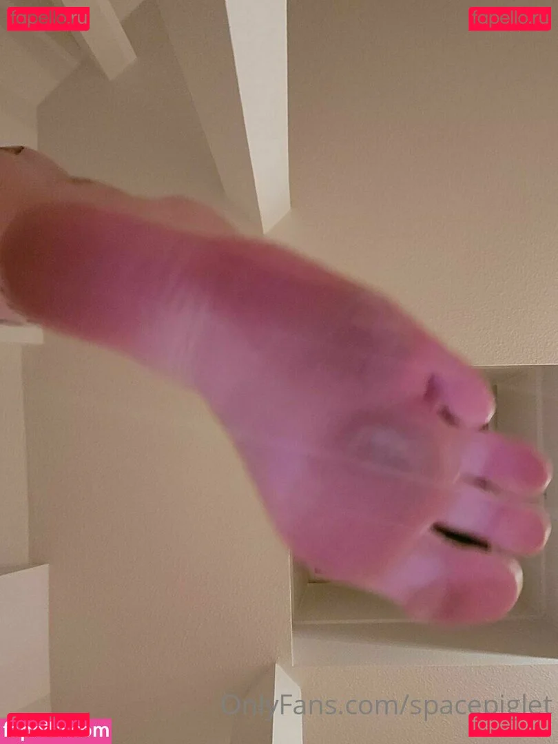 spacepiglet Onlyfans Photo Gallery 