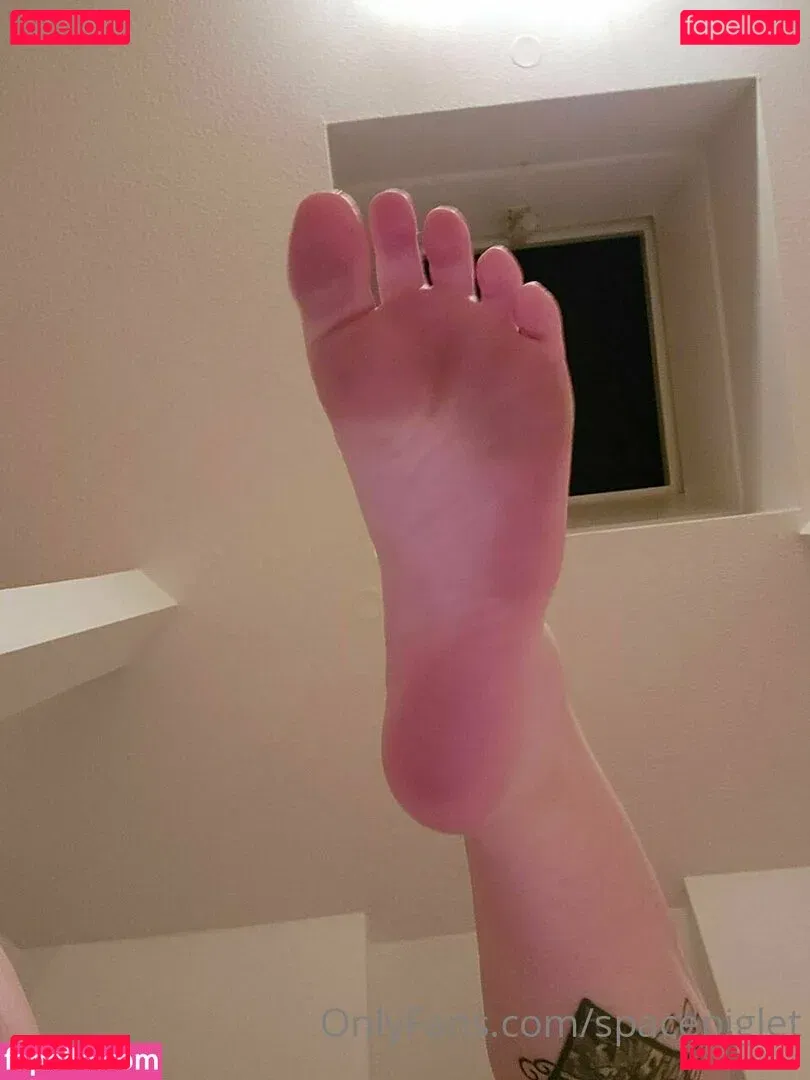 spacepiglet Onlyfans Photo Gallery 