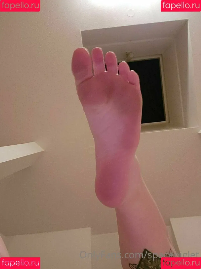 spacepiglet Onlyfans Photo Gallery 