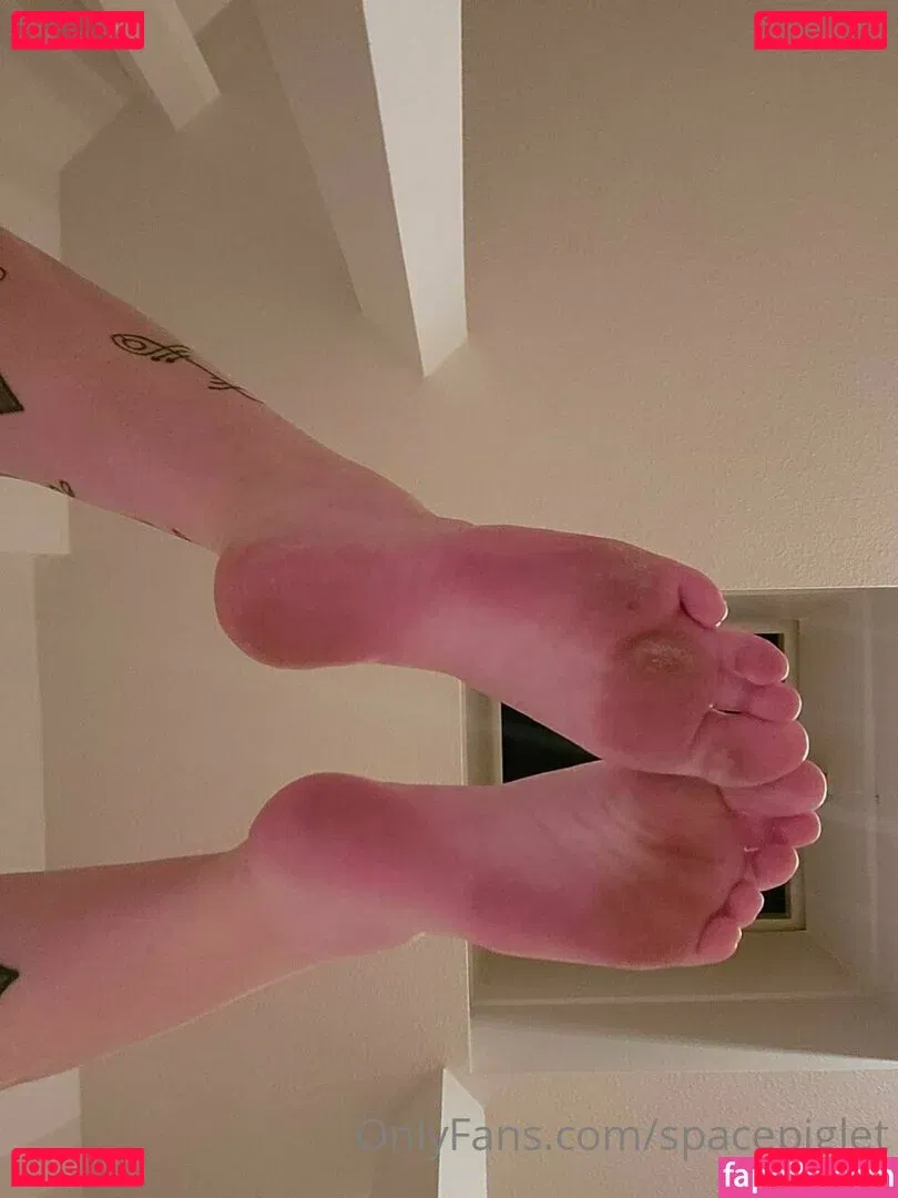 spacepiglet Onlyfans Photo Gallery 