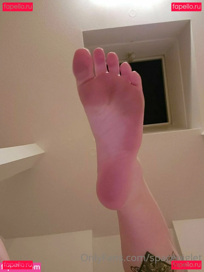 spacepiglet Onlyfans Photo Gallery 