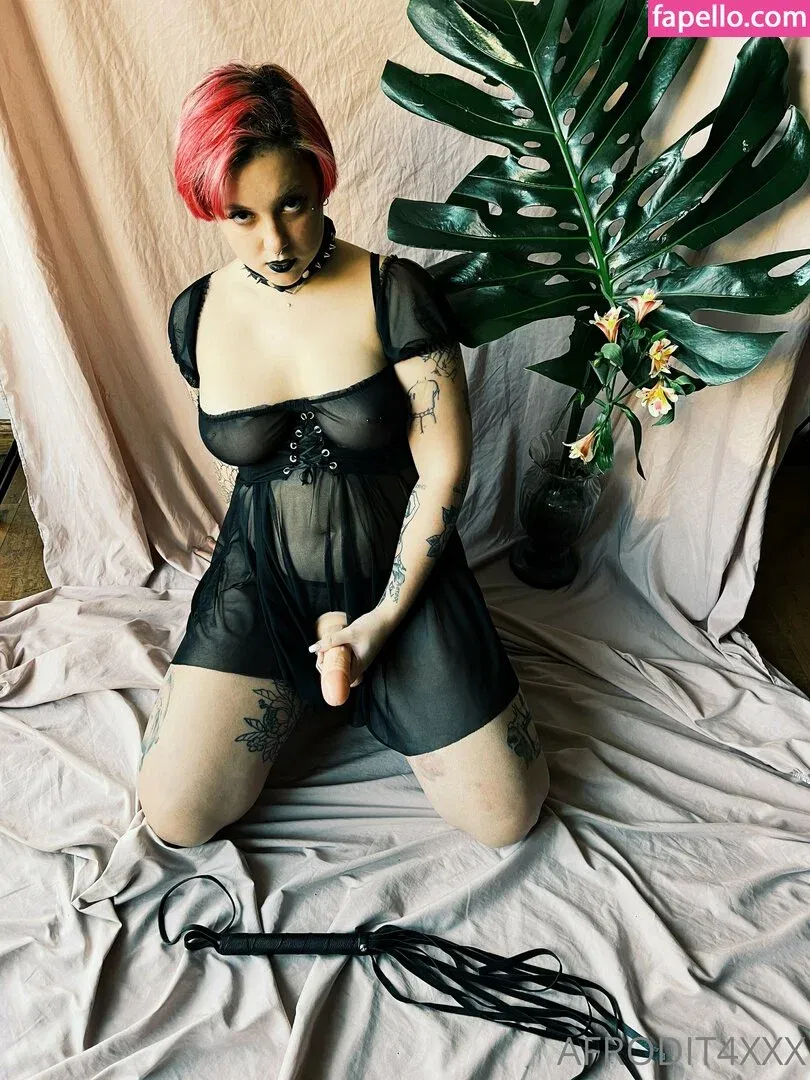 afrodit4x Onlyfans Photo Gallery 