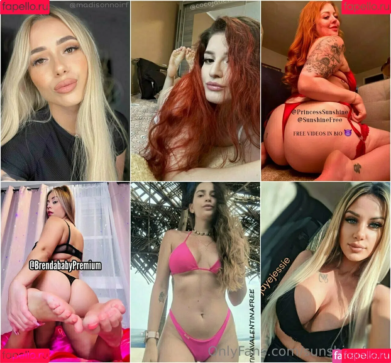 sunshinefree Onlyfans Photo Gallery 