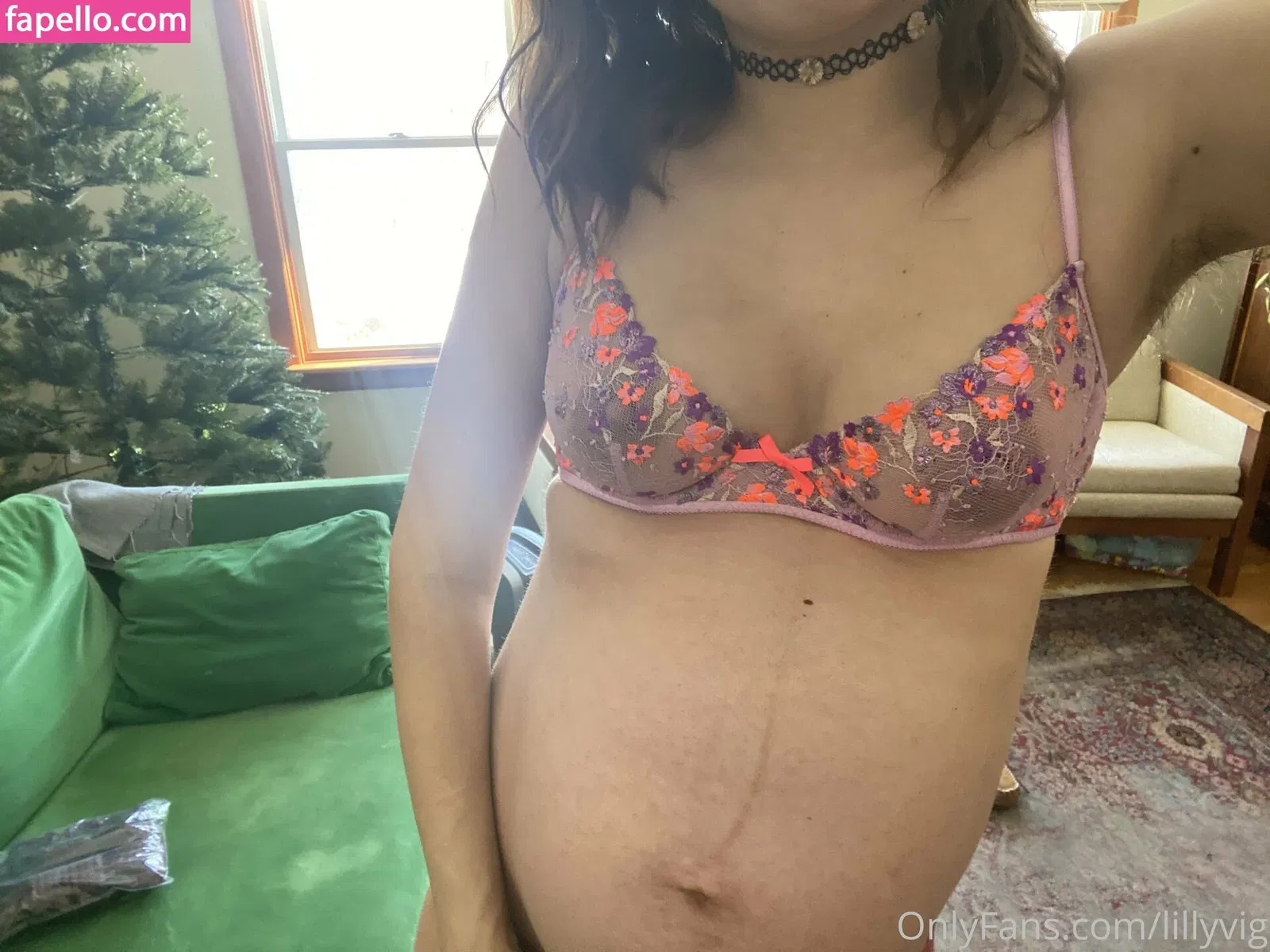 LillyVig Onlyfans Photo Gallery 