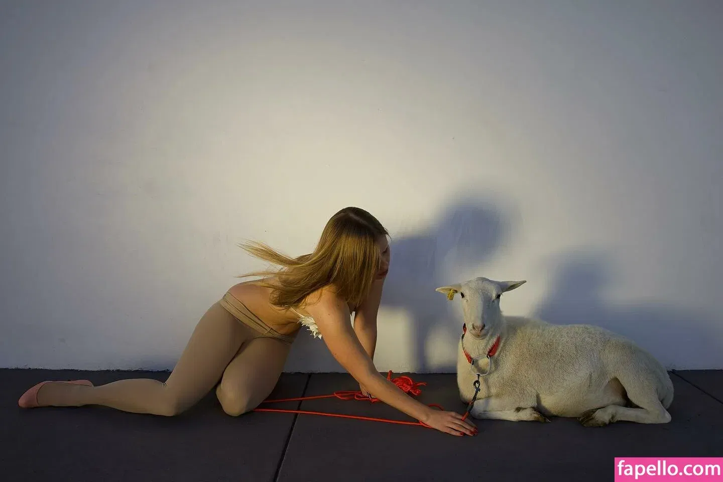 Lexee Smith Onlyfans Photo Gallery 