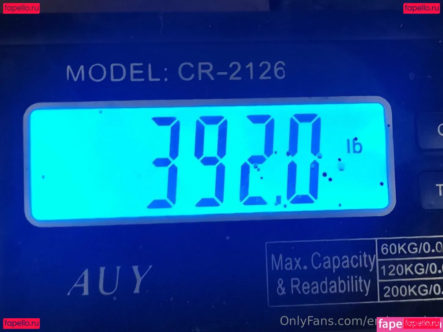 embonpoint Onlyfans Photo Gallery 