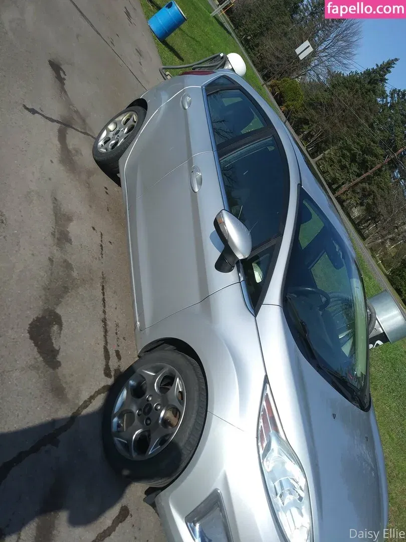 devilishdaisy Onlyfans Photo Gallery 