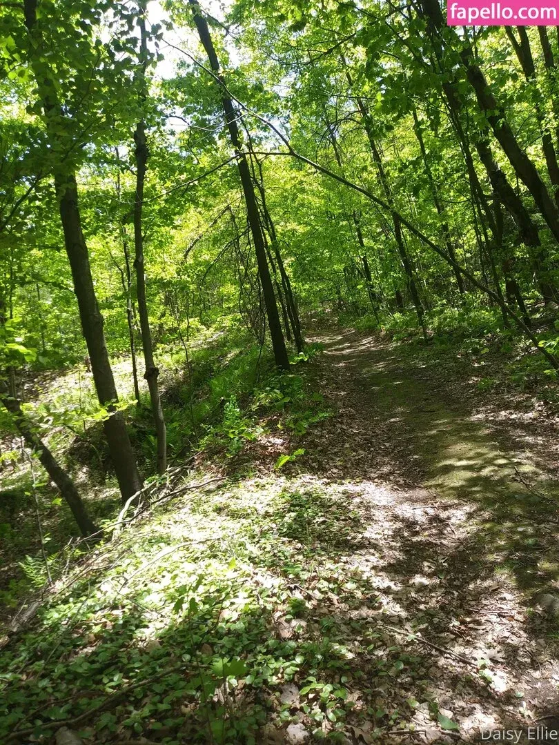 devilishdaisy Onlyfans Photo Gallery 