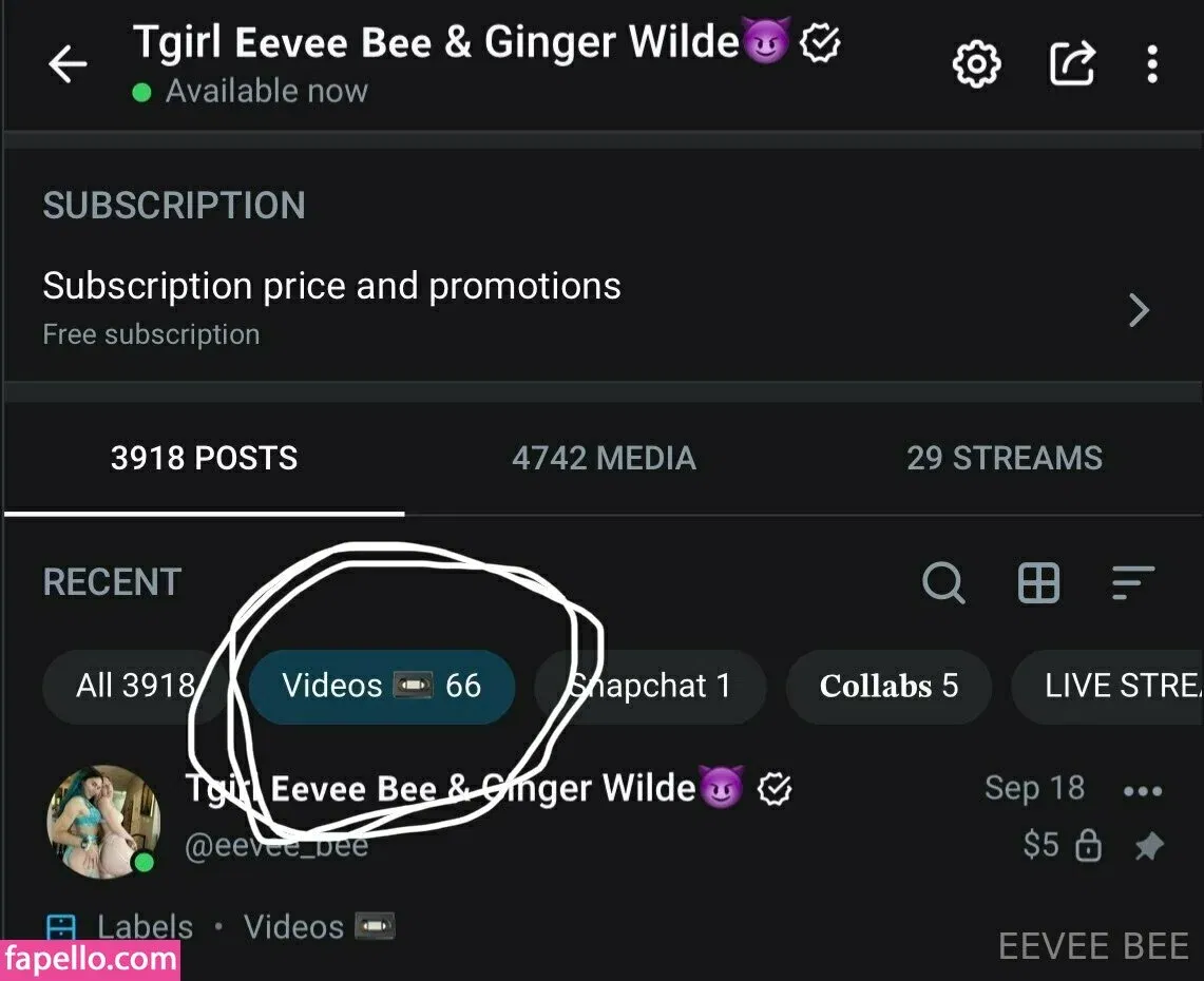 Eevee Bee Onlyfans Photo Gallery 