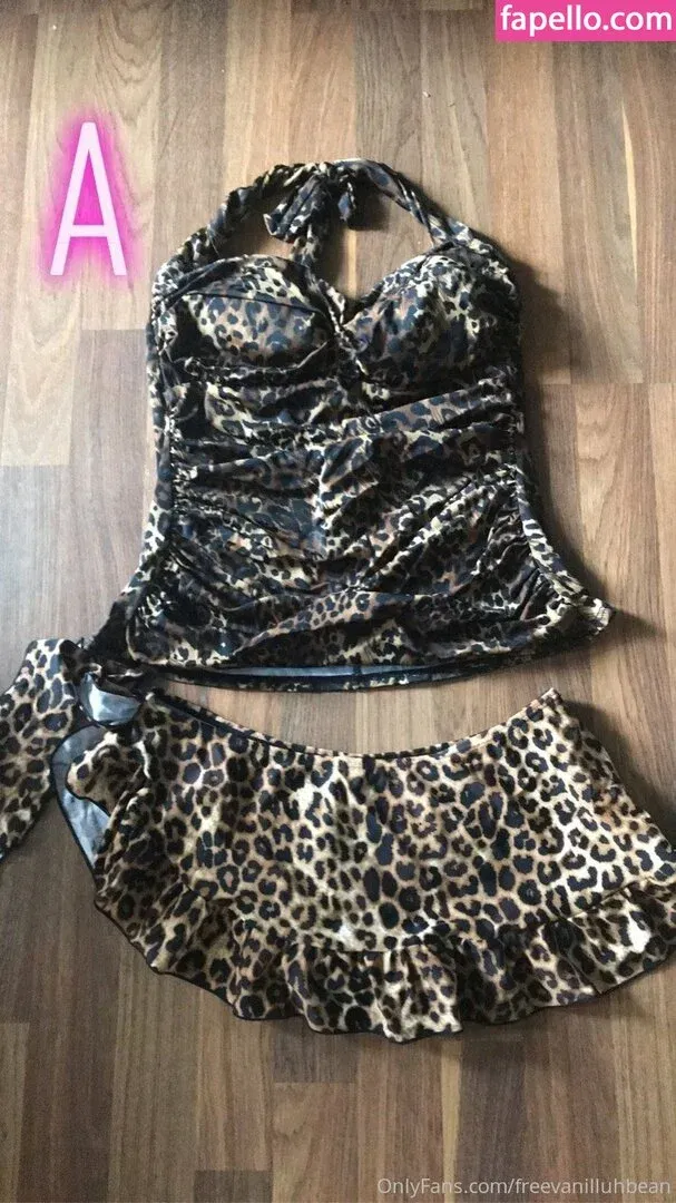 freevanilluhbean Onlyfans Photo Gallery 