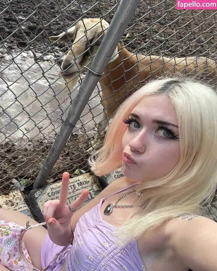 Iluvmeww Onlyfans Photo Gallery 