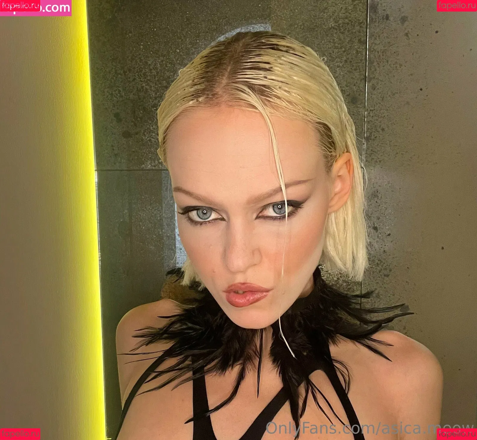 asica.meow Onlyfans Photo Gallery 