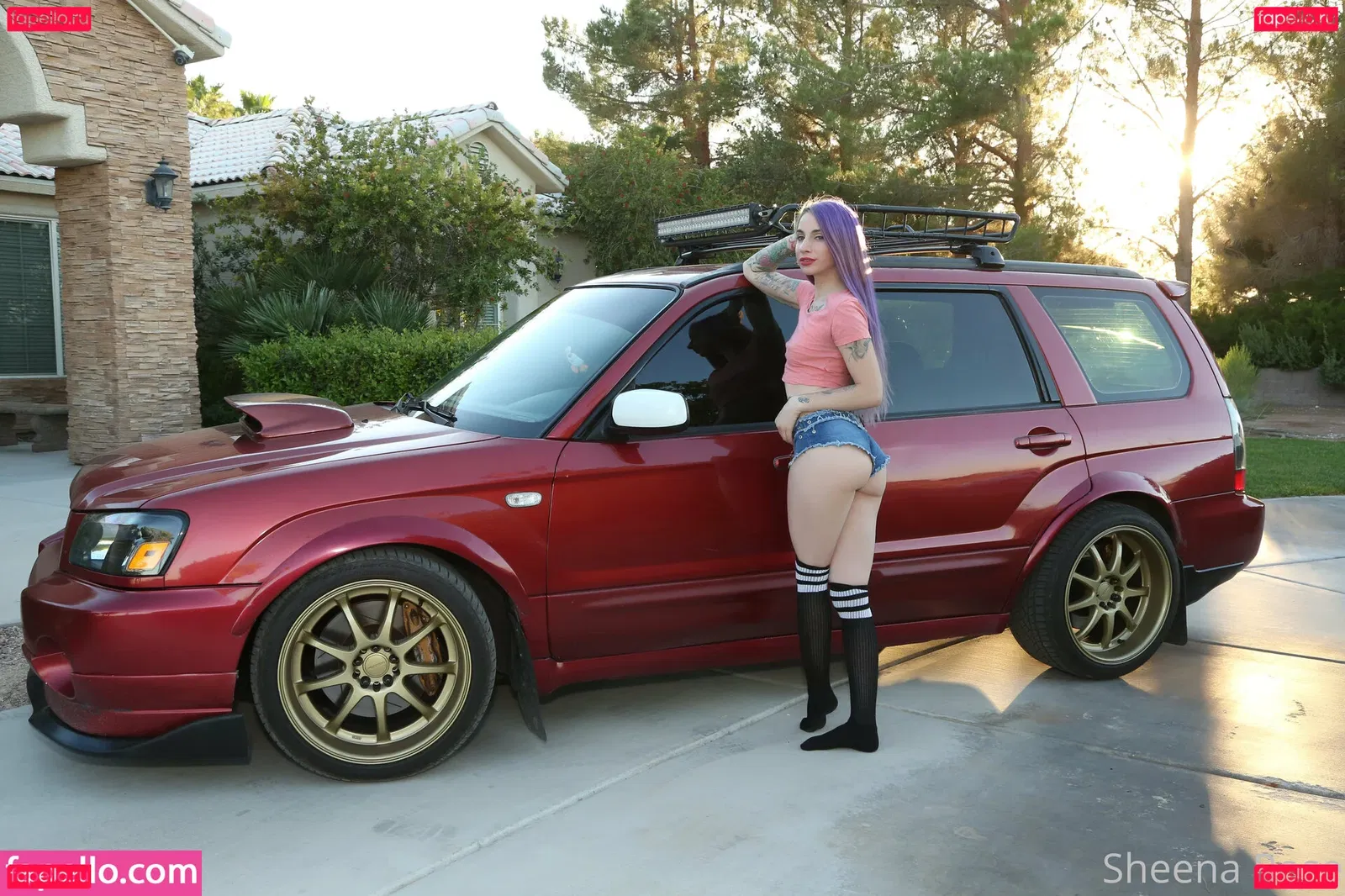 freesheenarose Onlyfans Photo Gallery 