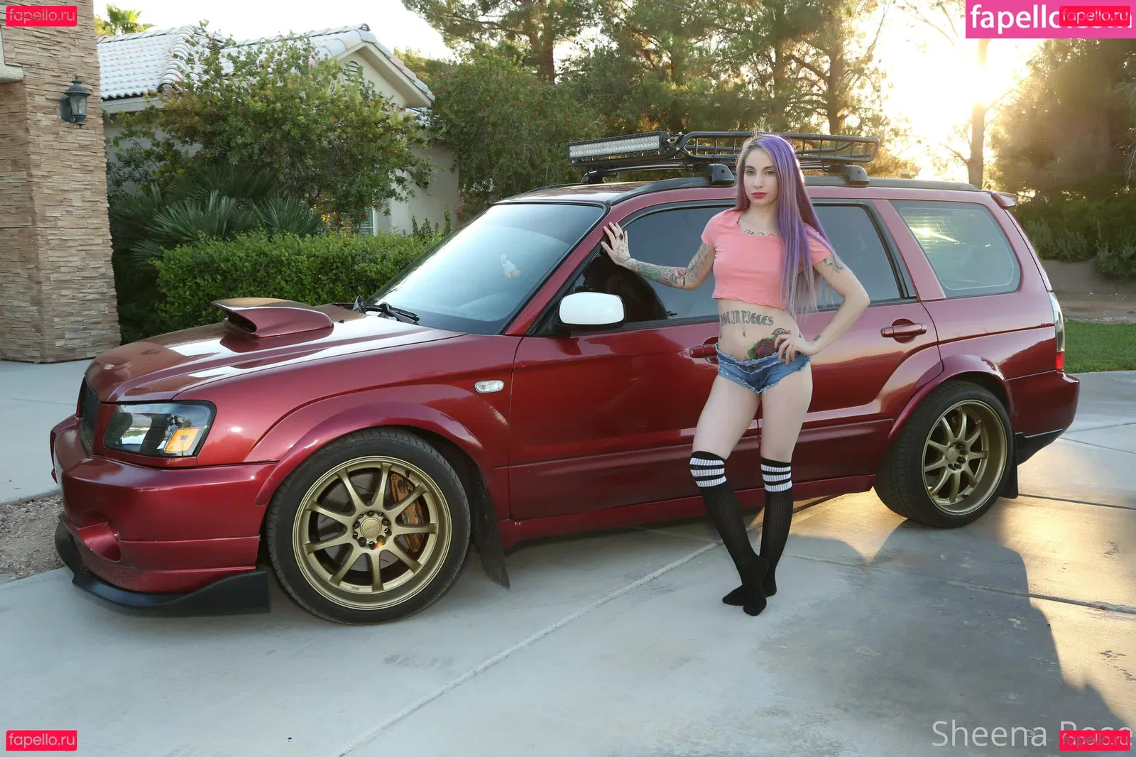 freesheenarose Onlyfans Photo Gallery 