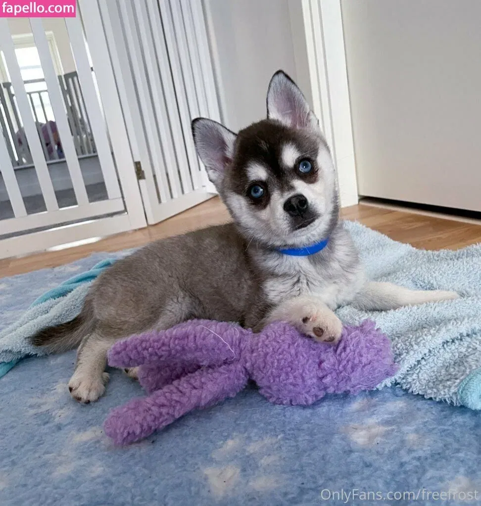 freefrost Onlyfans Photo Gallery 