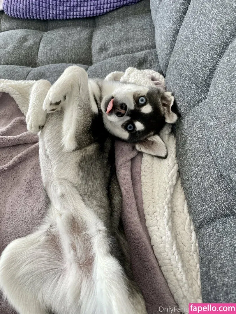 freefrost Onlyfans Photo Gallery 