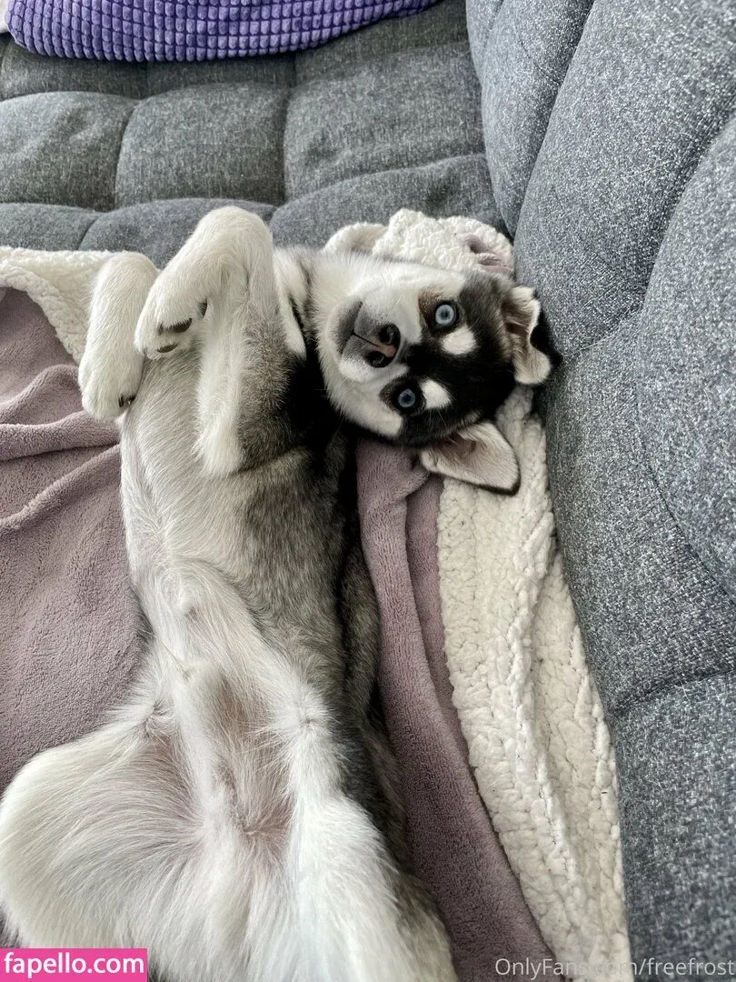 freefrost Onlyfans Photo Gallery 