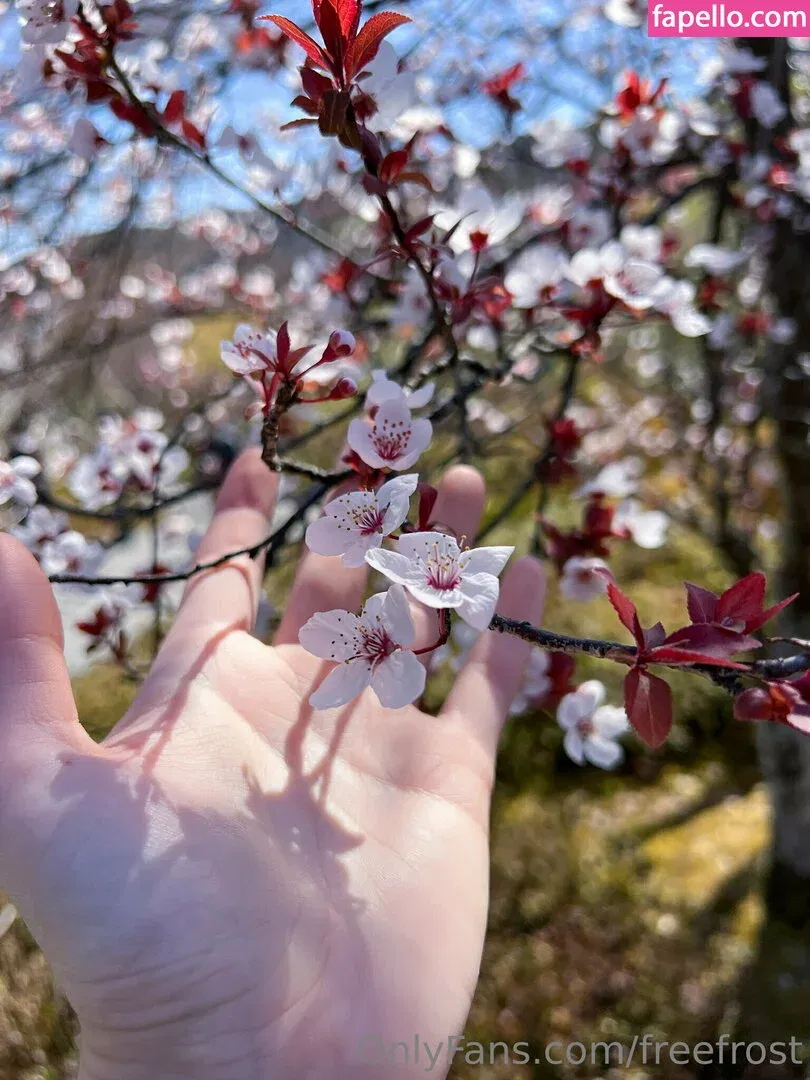 freefrost Onlyfans Photo Gallery 