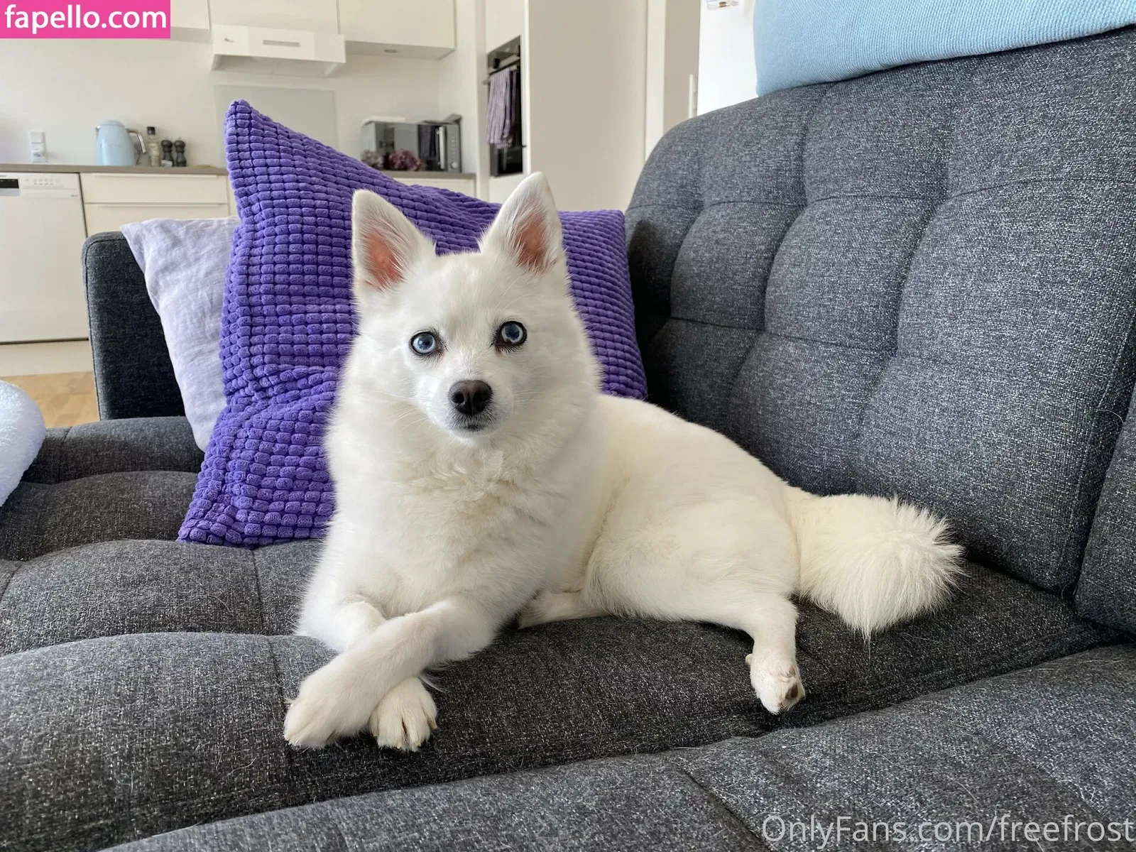 freefrost Onlyfans Photo Gallery 